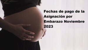 Asignación por Embarazo Noviembre 2023