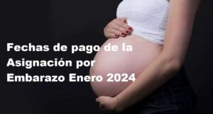Asignación por Embarazo Enero 2024