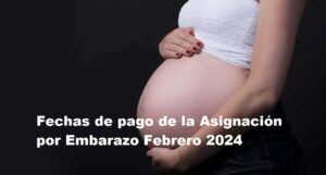 Asignación por Embarazo Febrero 2024