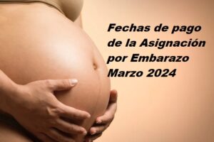 Asignación por Embarazo Marzo 2024