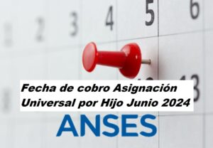 Asignación Universal por Hijo Junio 2024