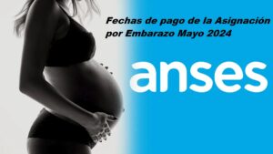 Asignación por Embarazo Mayo 2024