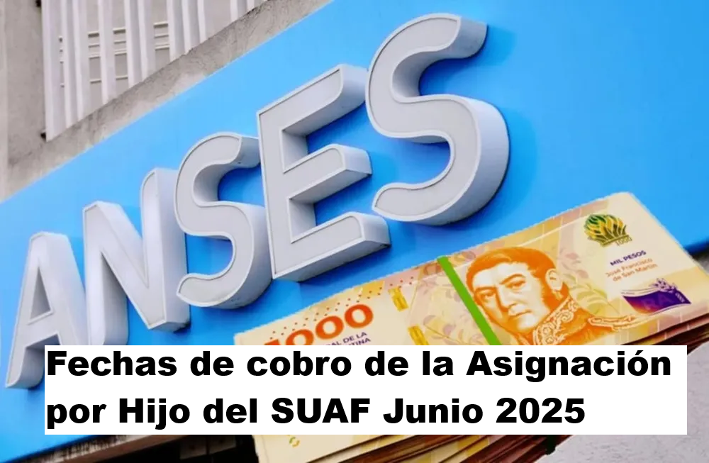 Asignación por Hijo del SUAF Junio 2025